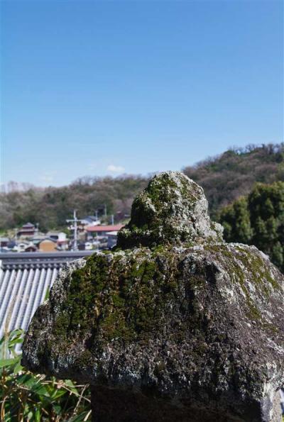 真鍋島は まぶしかった