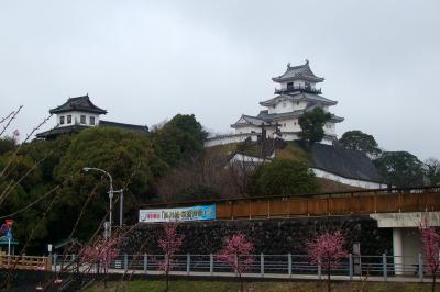 雨の掛川(2) 日本初の木造復元天守閣、掛川城 ～2010年3月～