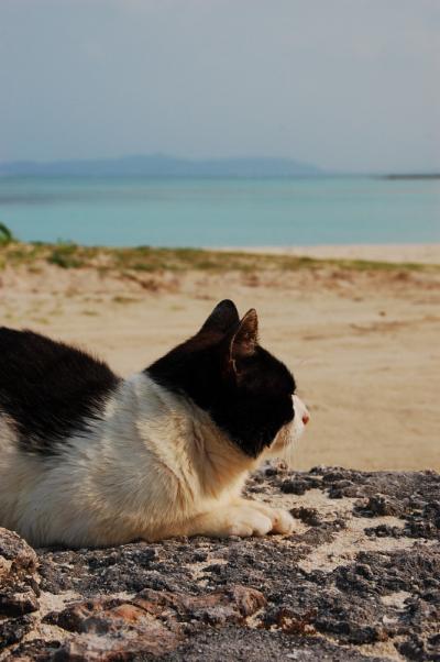 美ら島へ　②　～竹富島～