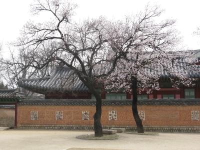 初めてのソウル訪問一泊二日 ウエスティン朝鮮ホテルに泊まる