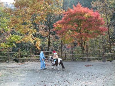 夕焼け小焼けの里　ドライブ