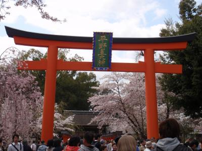 桜の平野神社～2010年4月10日～