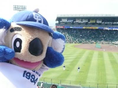 2009.10.4 立浪 甲子園ラストゲーム