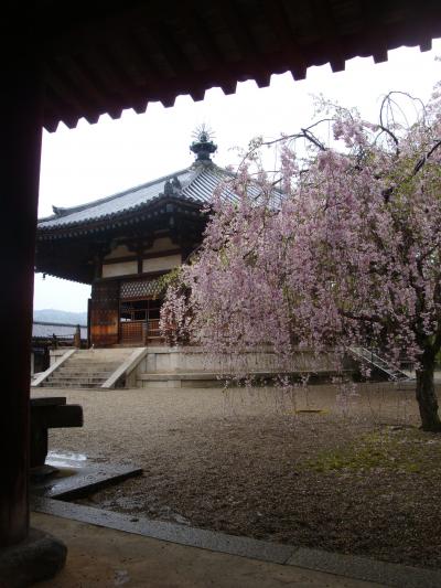 【おとなの修学旅行】奈良の旅：その１～春雨に濡れる斑鳩・西ノ京の旅～