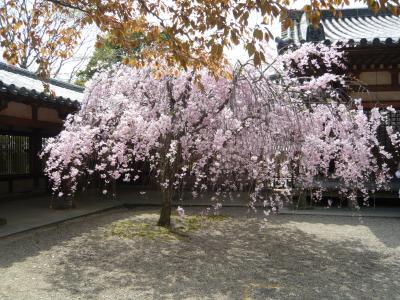平城京遷都1300年 奈良の旅 二日目