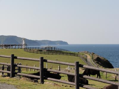 呼子と東松浦半島の絶景ポイント