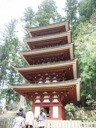 2010年春・スルッとKANSAIで東へ~室生寺・大野寺・長谷寺へ~