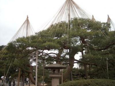 わらわら金沢晴れのち雨旅（前編）