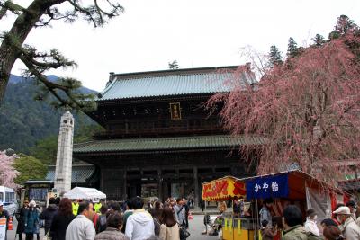 2010 身延山久遠寺の枝垂れ桜(その1)