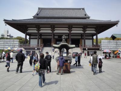 ボタンの名所・西新井大師