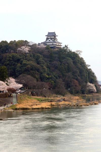小さな旅●愛知犬山市・さくら咲く犬山城と木曽川