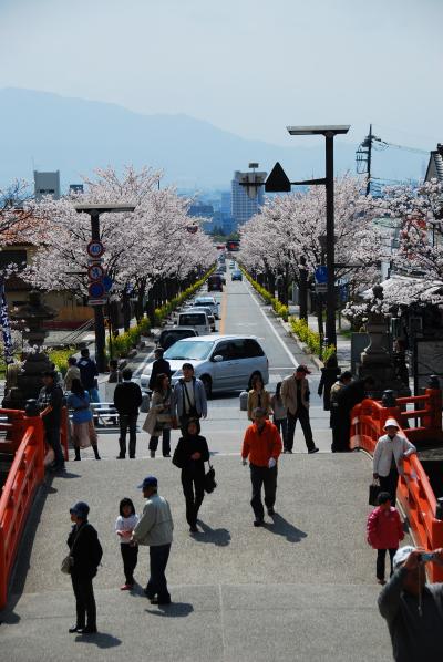 春の武田神社と恵林寺2010