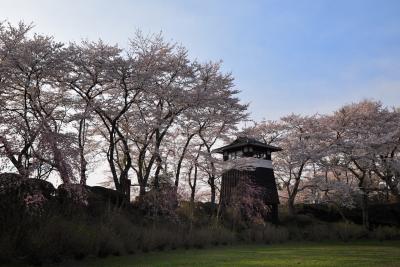 桜　黒羽城趾　２０１０