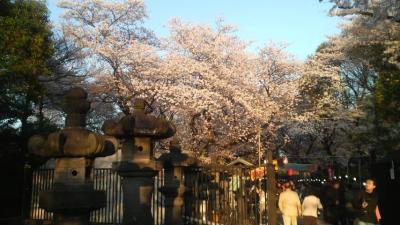 08年4月　お花見＠上野公園＆神楽坂