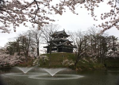 ”日本さくら名所１００選”新潟・上越市「高田公園」の花見！！