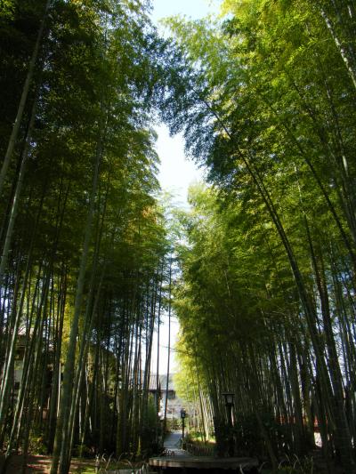 ☆家族旅行で修善寺へ～～１泊2日～～☆