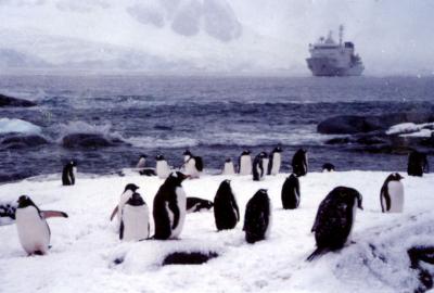 南極物語 vol.0 ＜世界最南端の挫折＞