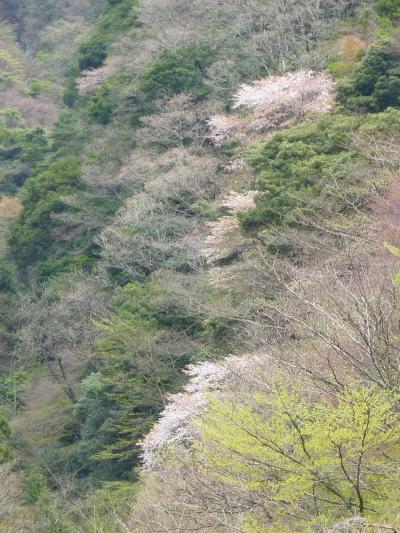 ほっこり熊本【07】いろいろな酒に恵まれて