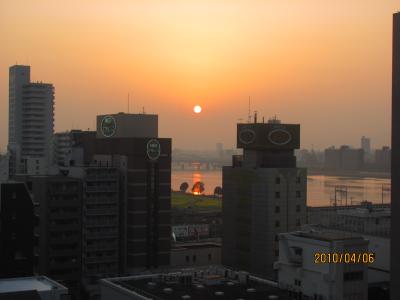 古都の桜めぐり　法隆寺・春日大社・東大寺・吉野山編