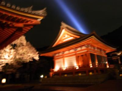 京都乙女？１人旅★護王神社～清水寺ライトアップ
