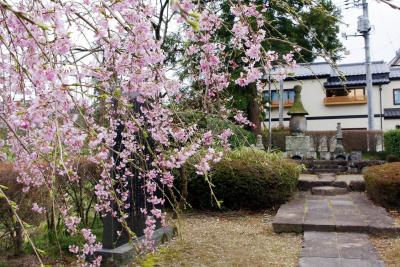 北山　伊達家ゆかりの寺社散歩