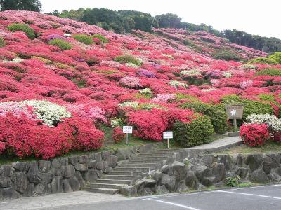 佐世保市鹿町町　長串山公園