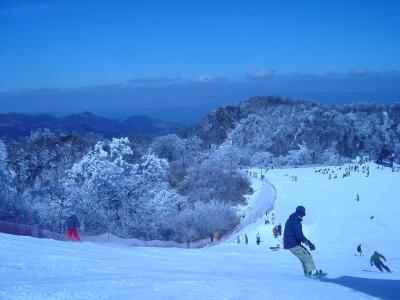 ちょっと用事で九州へ。【五ヶ瀬ハイランドスキー場・五ヶ瀬ワイナリー編】でも、ここ九州??