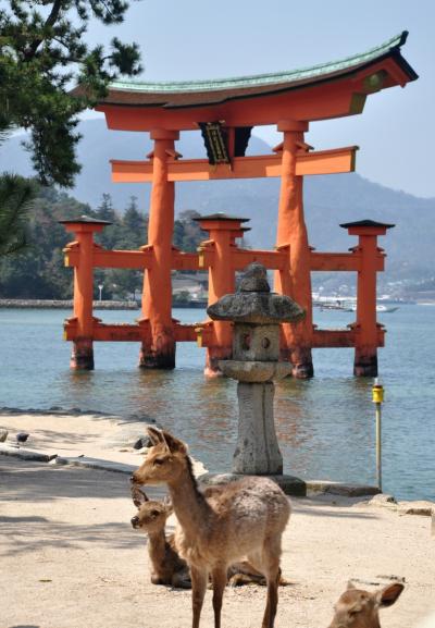 ２０１０年春広島 ～ 宮島でお花見＆おみやげ編