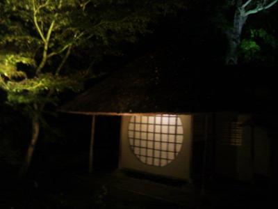 高台寺の秋の特別拝観とライトアップ