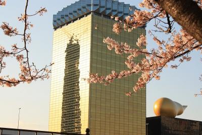 スカイツリー(東京都)を見てきました!(2010年4月)