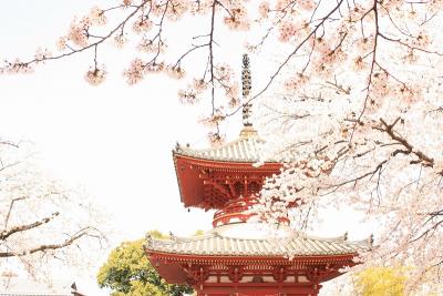 川越(埼玉県)へ行ってきました!(2010年4月)