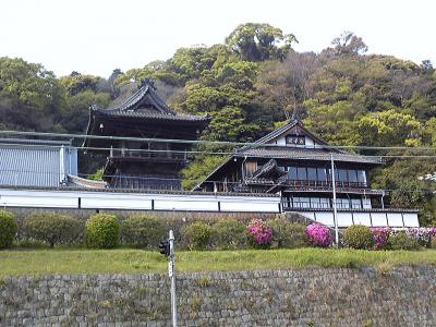 桜には間に合わなかった!春の清見寺