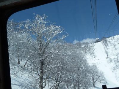 SKI　田代で春スキー