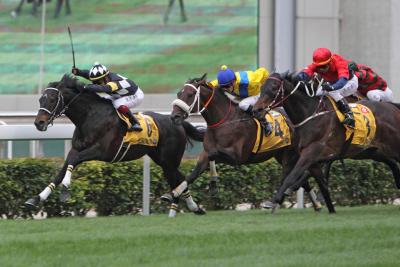 シャティン競馬場（香港：沙田競馬場）