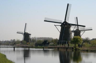 2010春、ドイツ・オランダ・ベルギーの旅(21/68)：4月17日(9)：キンデルダイク・風車群、マガモ、バン
