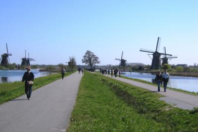 2010春、ドイツ・オランダ・ベルギーの旅(23/68)：4月17日(11)：キンデルダイク、風車群、 水路脇での鴨の営巣
