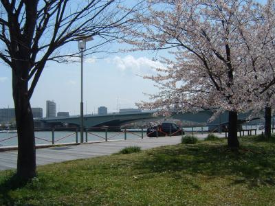 春の新潟市を歩く！　（東から西へ）