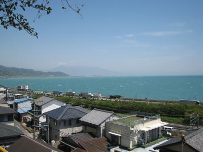由比で桜えび！　富士山も駿河湾もキレイです！！