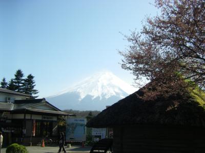 富士･山中湖の旅2・忍野八海