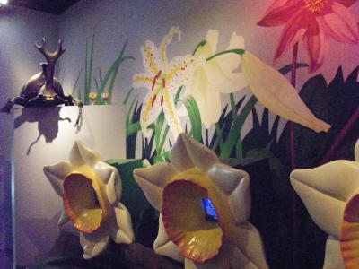 富士･山中湖の旅5　花の都公園