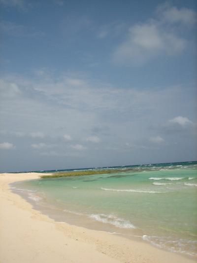 絶対いくぞ！　はての浜　その２