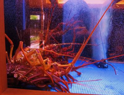 ♪ゴールデンウィーク直前!「木曽路」の昼御膳♪