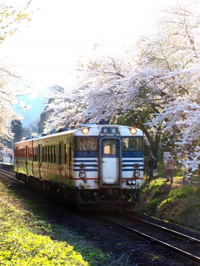 満 開 の 「 咲 花 温 泉 」 の 旅 ＜ 新潟県五泉市 ＞