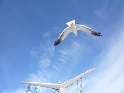 バリローチェからアンデス越え①