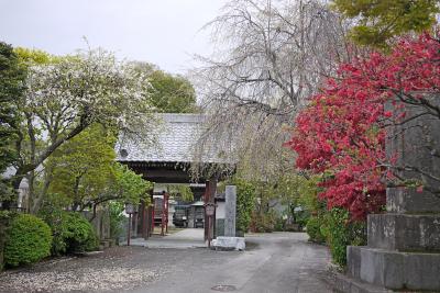 【近郊22】栃木への小旅行1-小山妙建寺