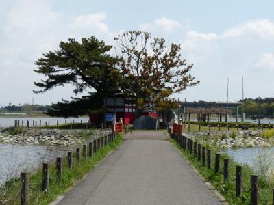 多々良沼（群馬県邑楽町）