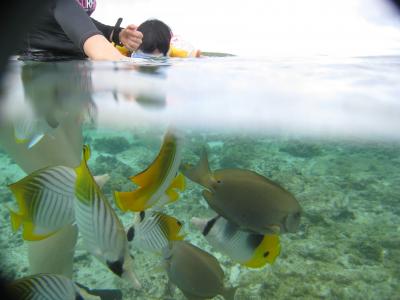 2010年4月　11年ぶりのロタ島