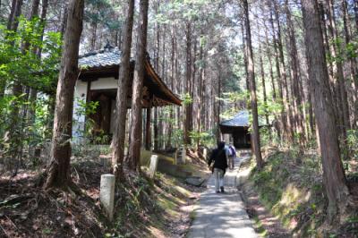 新緑の御室仁和寺「八十八ヶ所霊場」