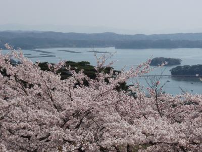 魚塩釜+桜松島=最高