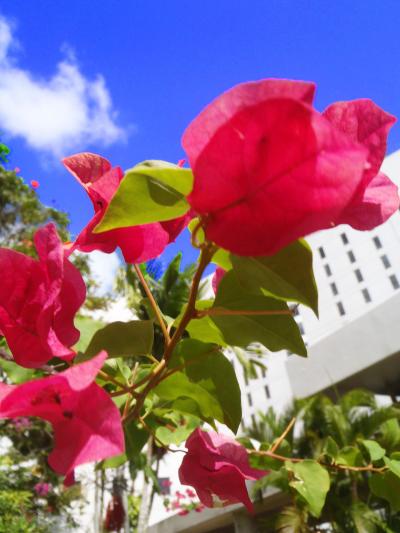 ☆女友達と2人グアム旅行☆